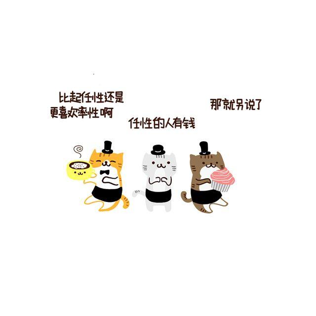 晚安#8 猫咪咖啡馆1