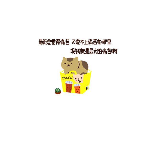 晚安#8 猫咪咖啡馆4