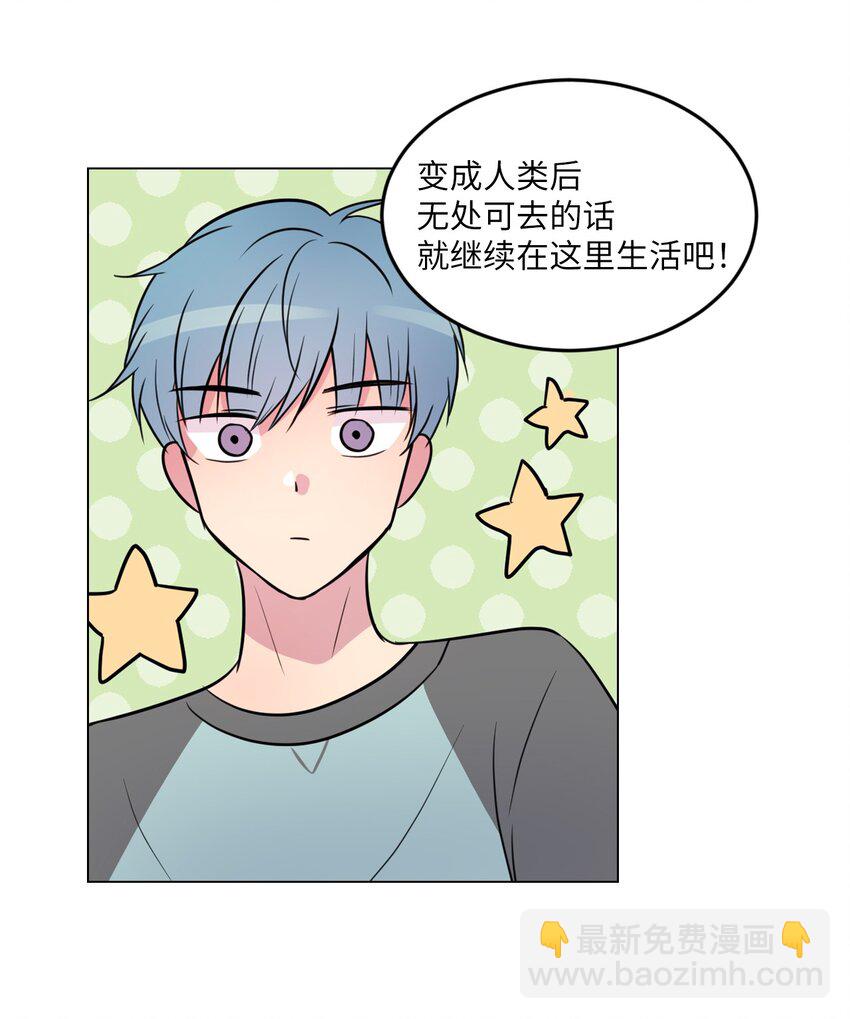 014 如果绿藻变成人12