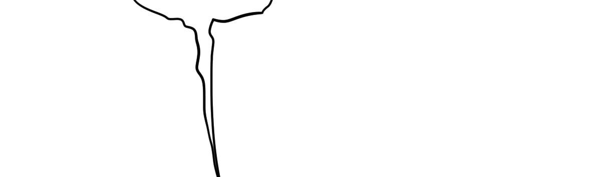 第6话：霉运传染173
