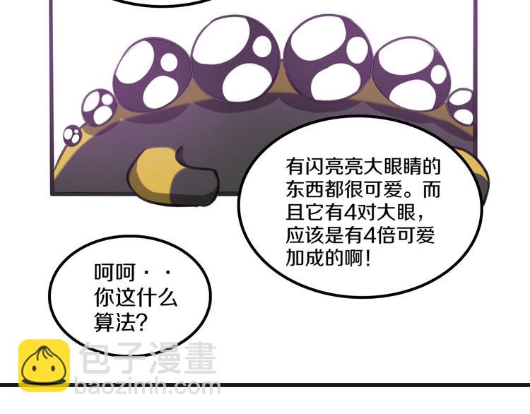 第5话 完美的宠物1