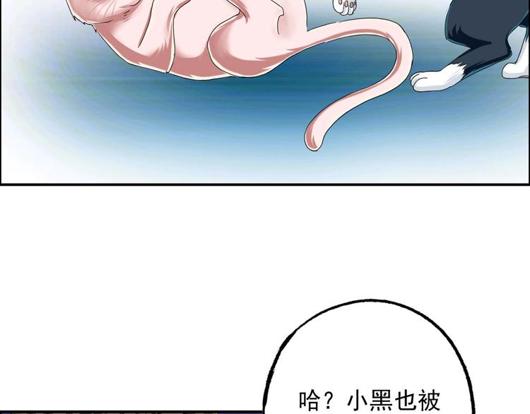 第7话 幻境的诱惑81