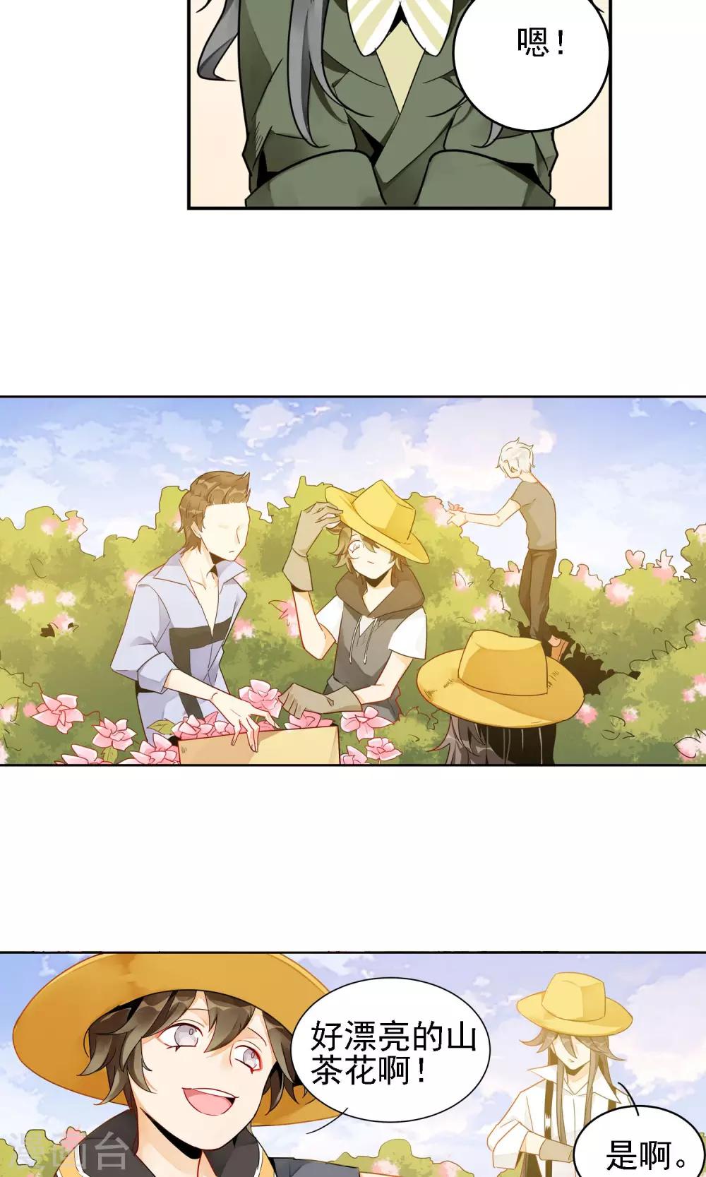 第8话 山茶花的花语19