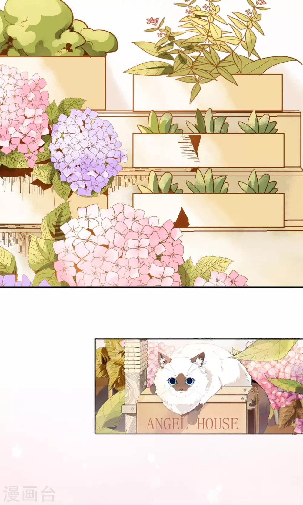 预告1