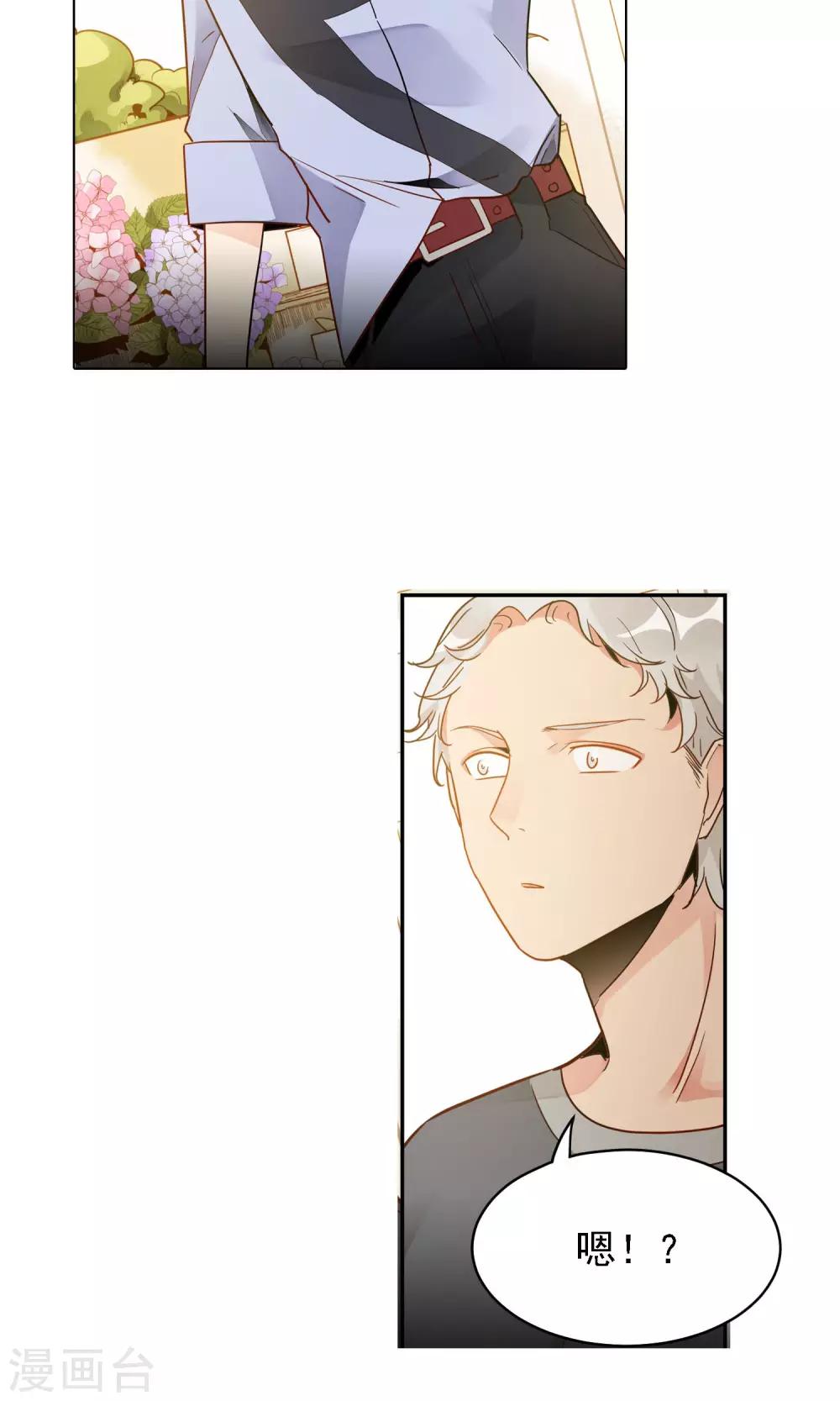 第11话 双瓣翠菊的花语6