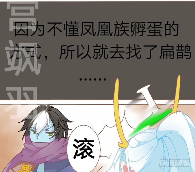 孵蛋是个难题1