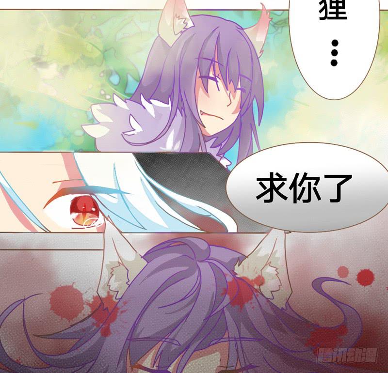 狐死青丘灭1