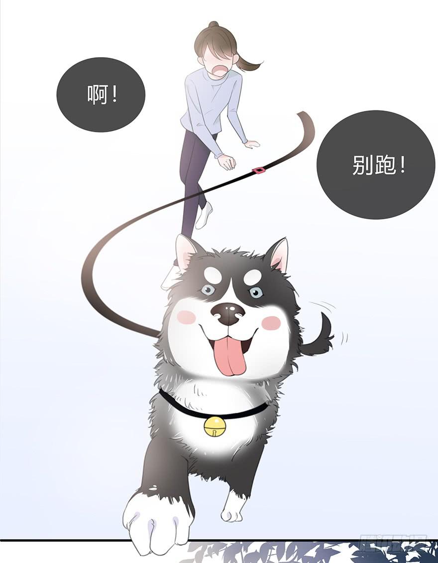 cv橙迟67