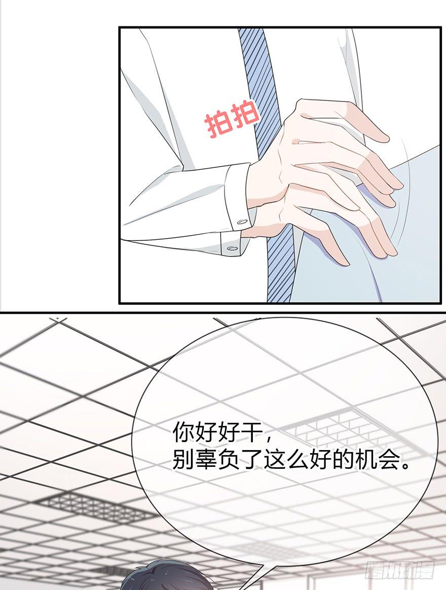 网文界小透明14