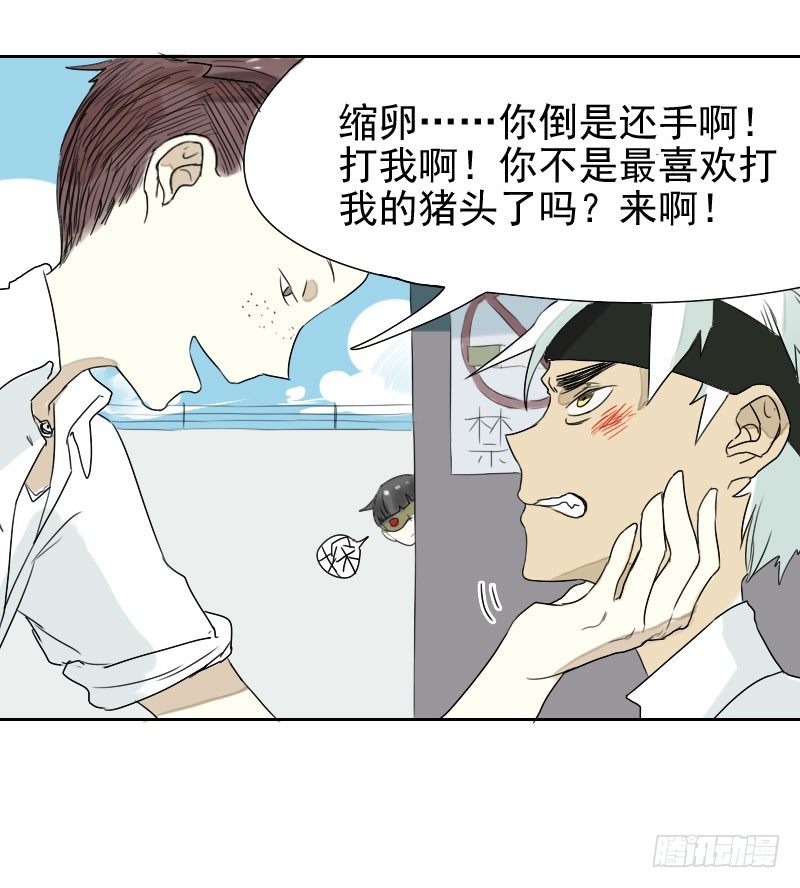 第28话28