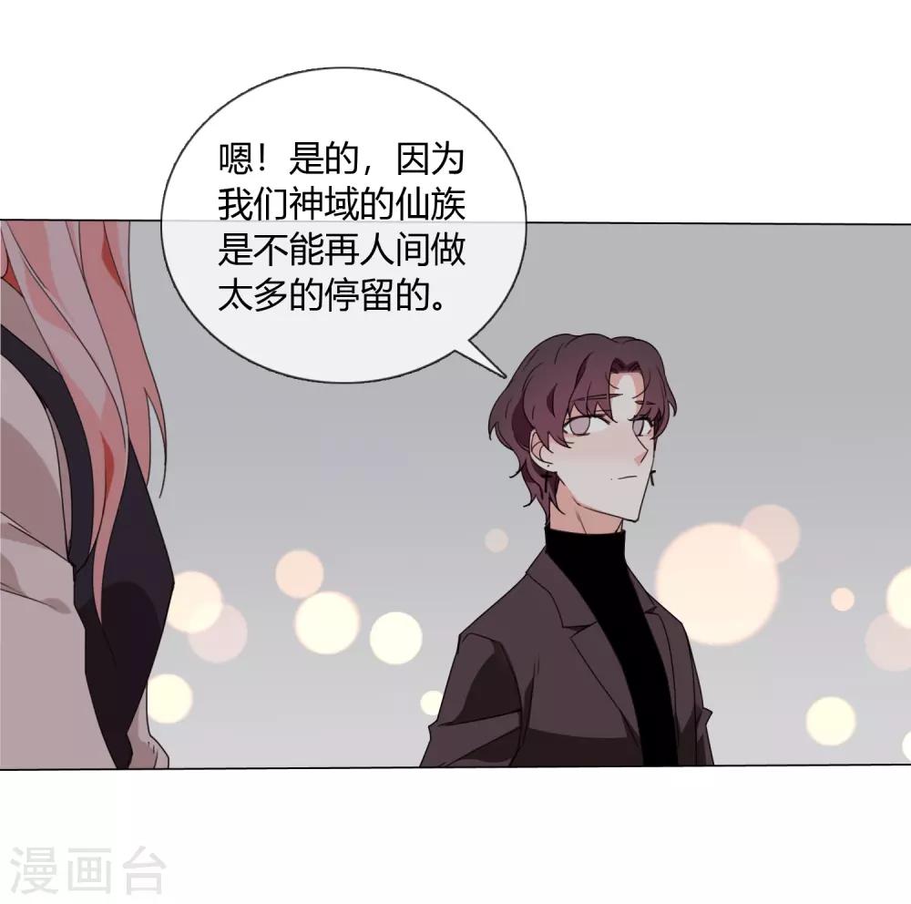 最终话 仙环回来了12