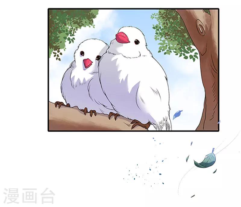 第25话 安安2