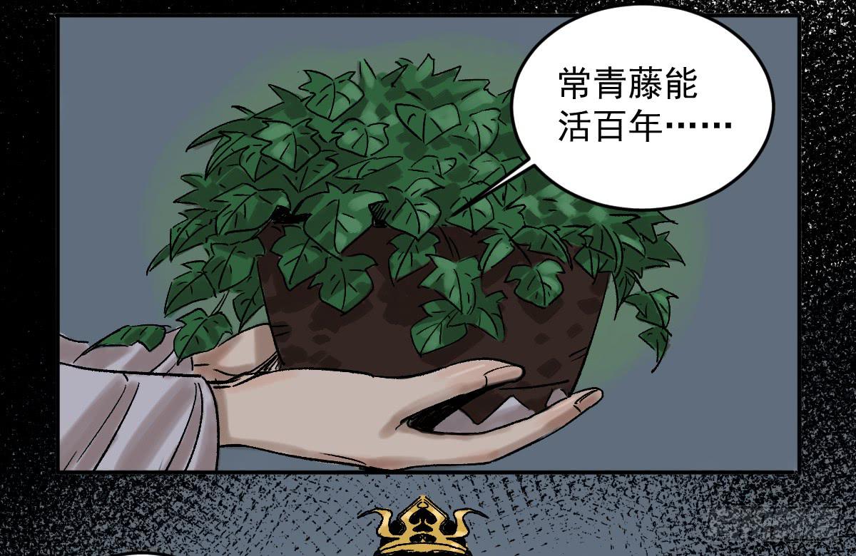 16-常青8