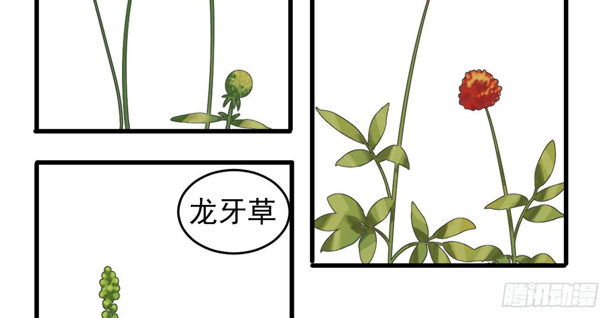 7-碧落险Ⅱ3