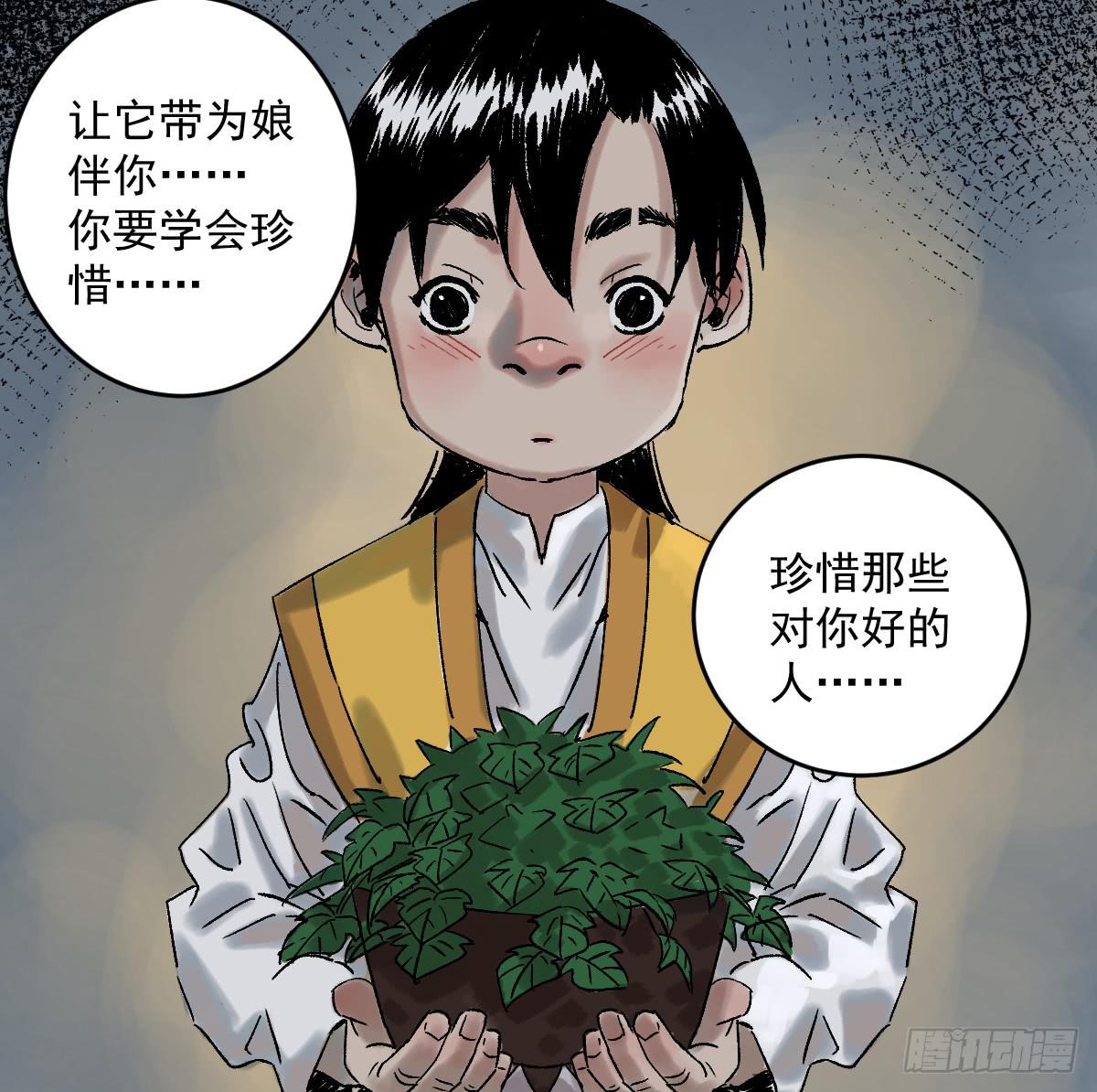 16-常青9