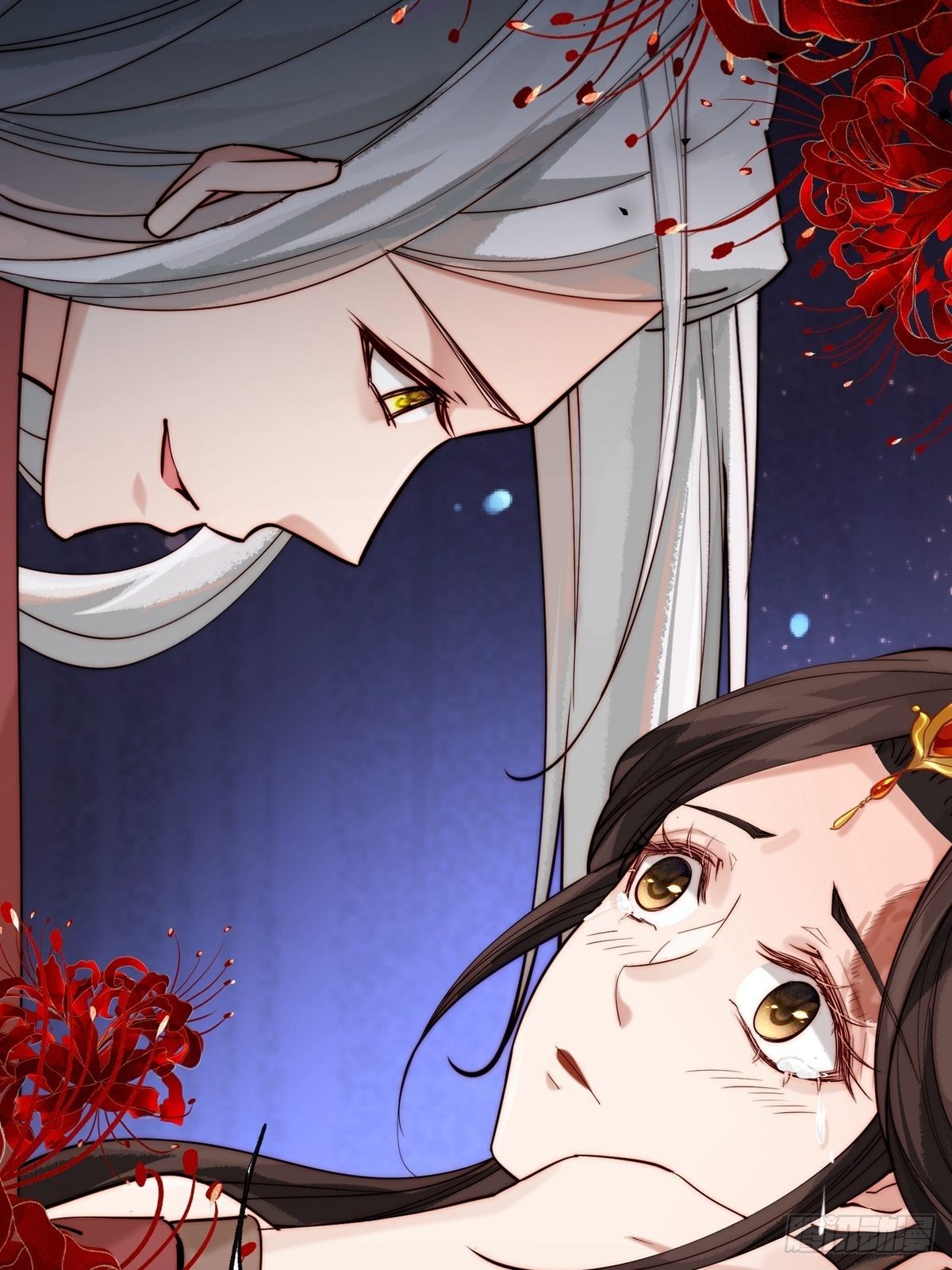 第一回 花烛之夜49