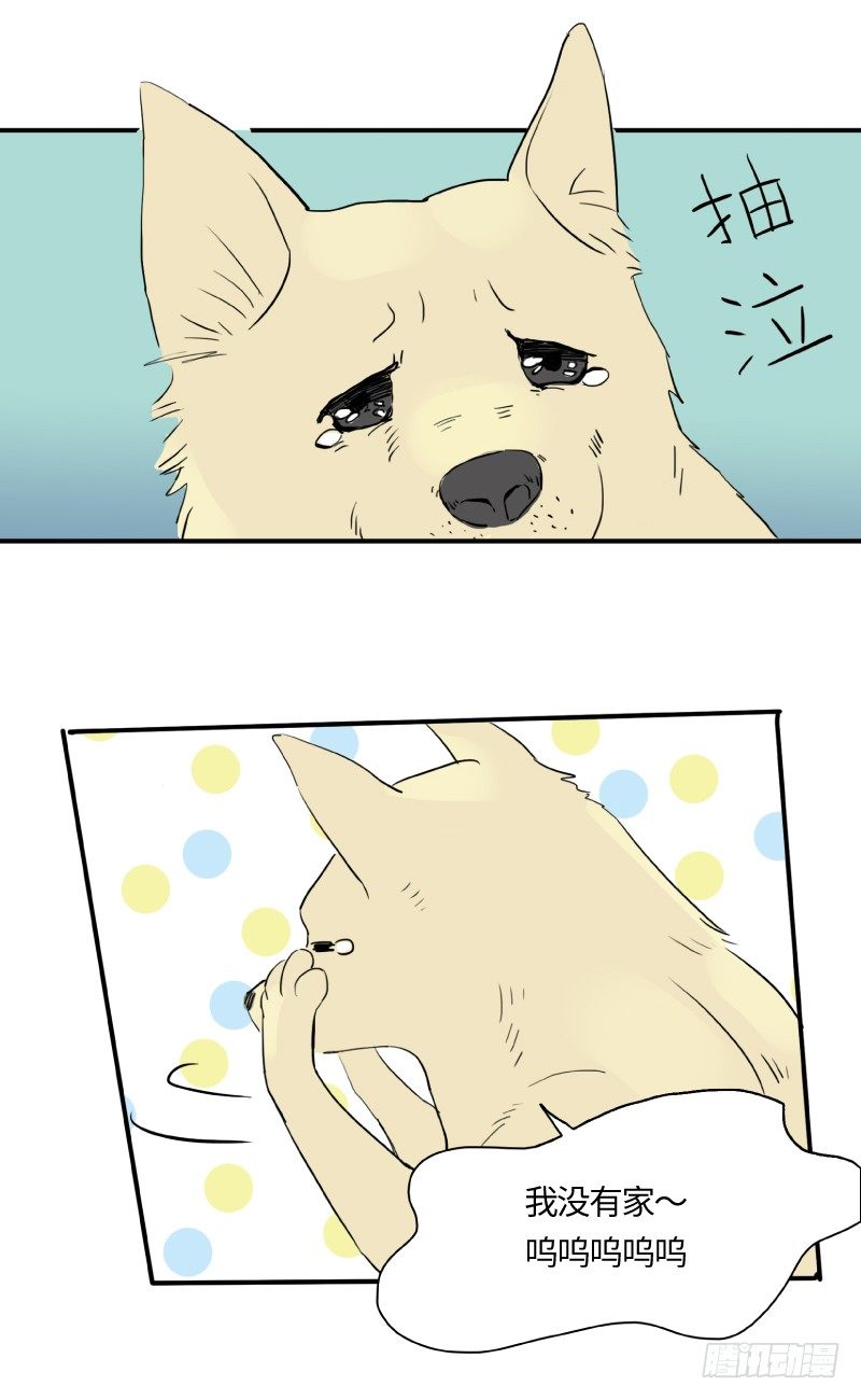 迟别（中）17