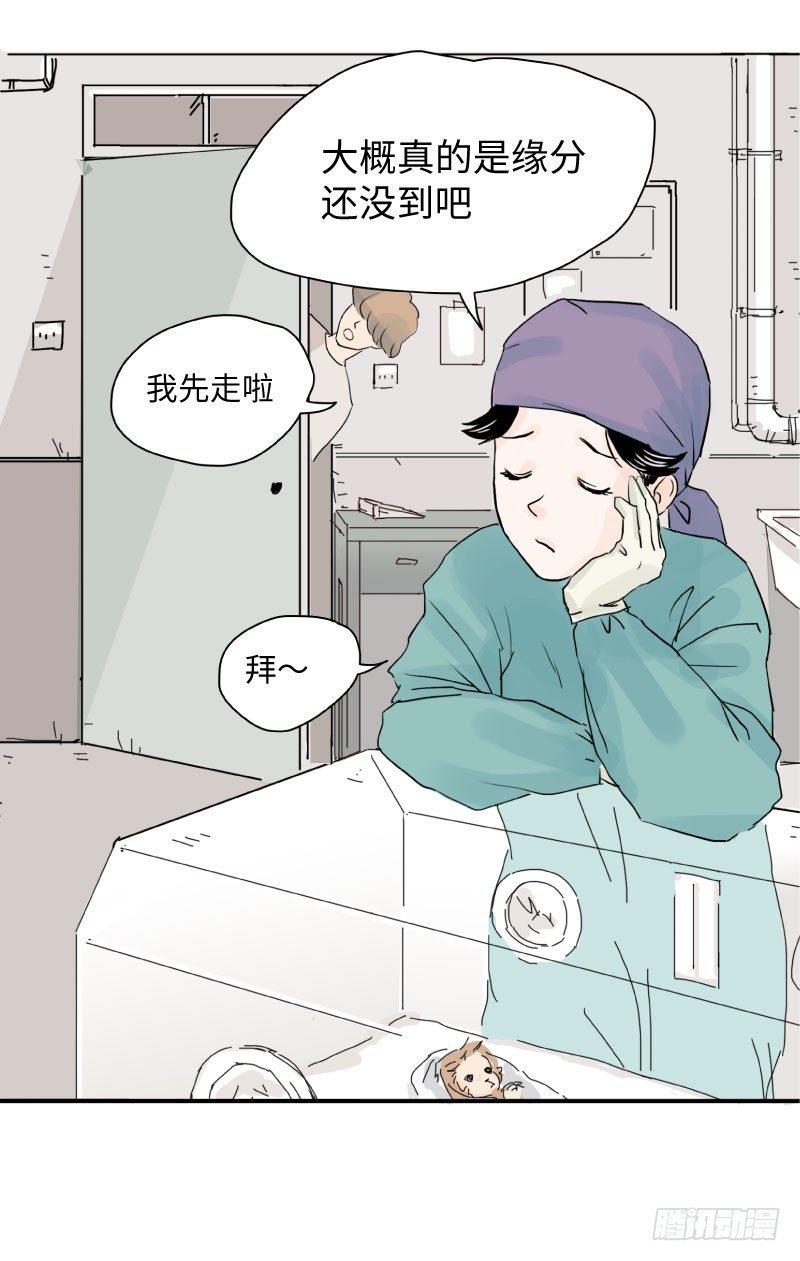 留宿动物园（上）17