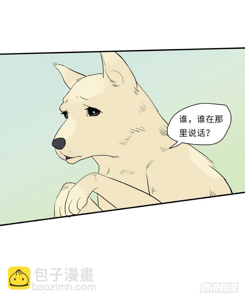 迟别（中）14