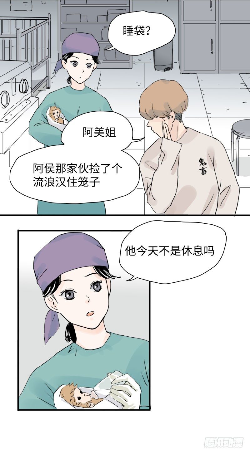 留宿动物园（上）12
