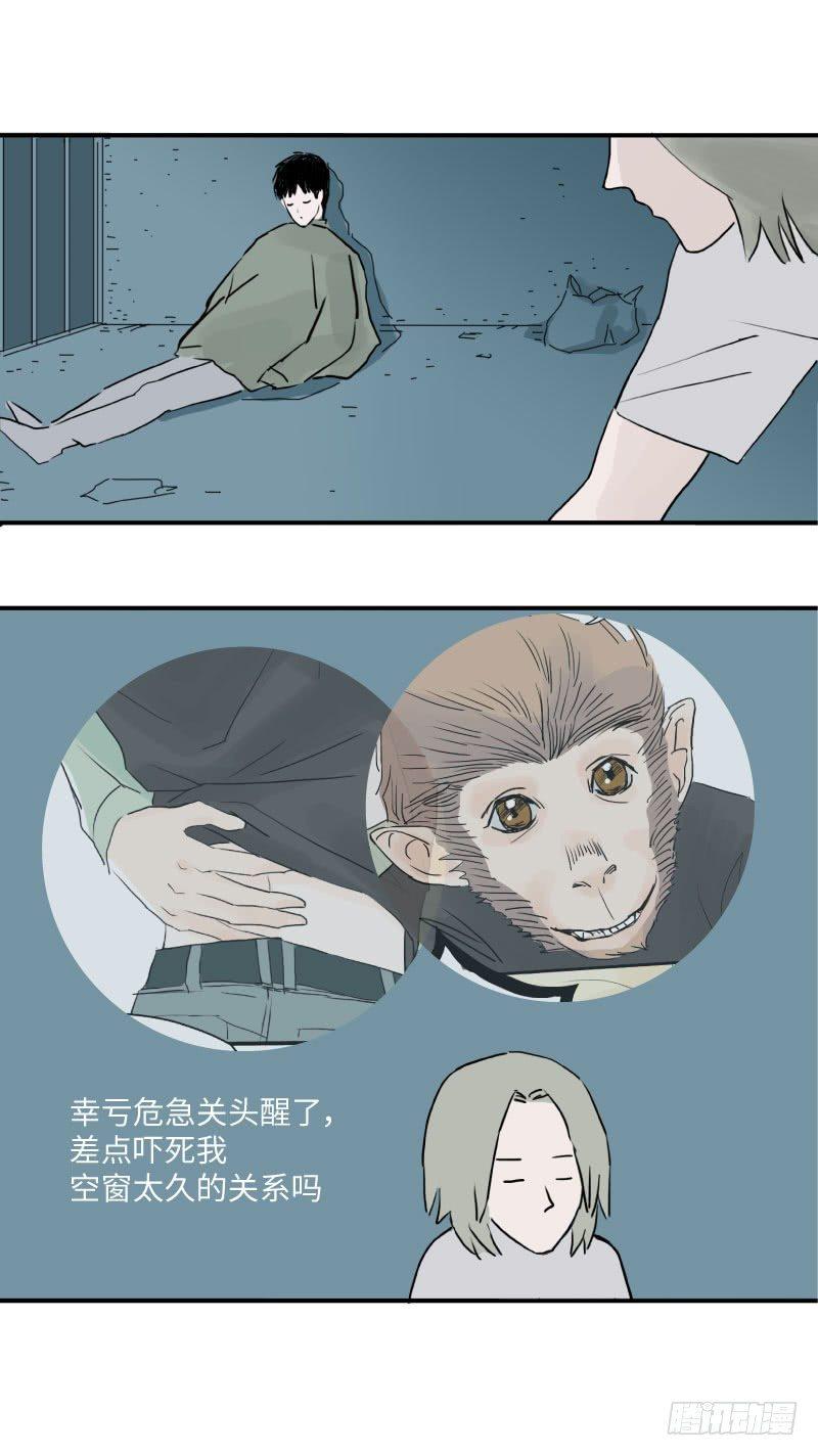 留宿动物园（下）8
