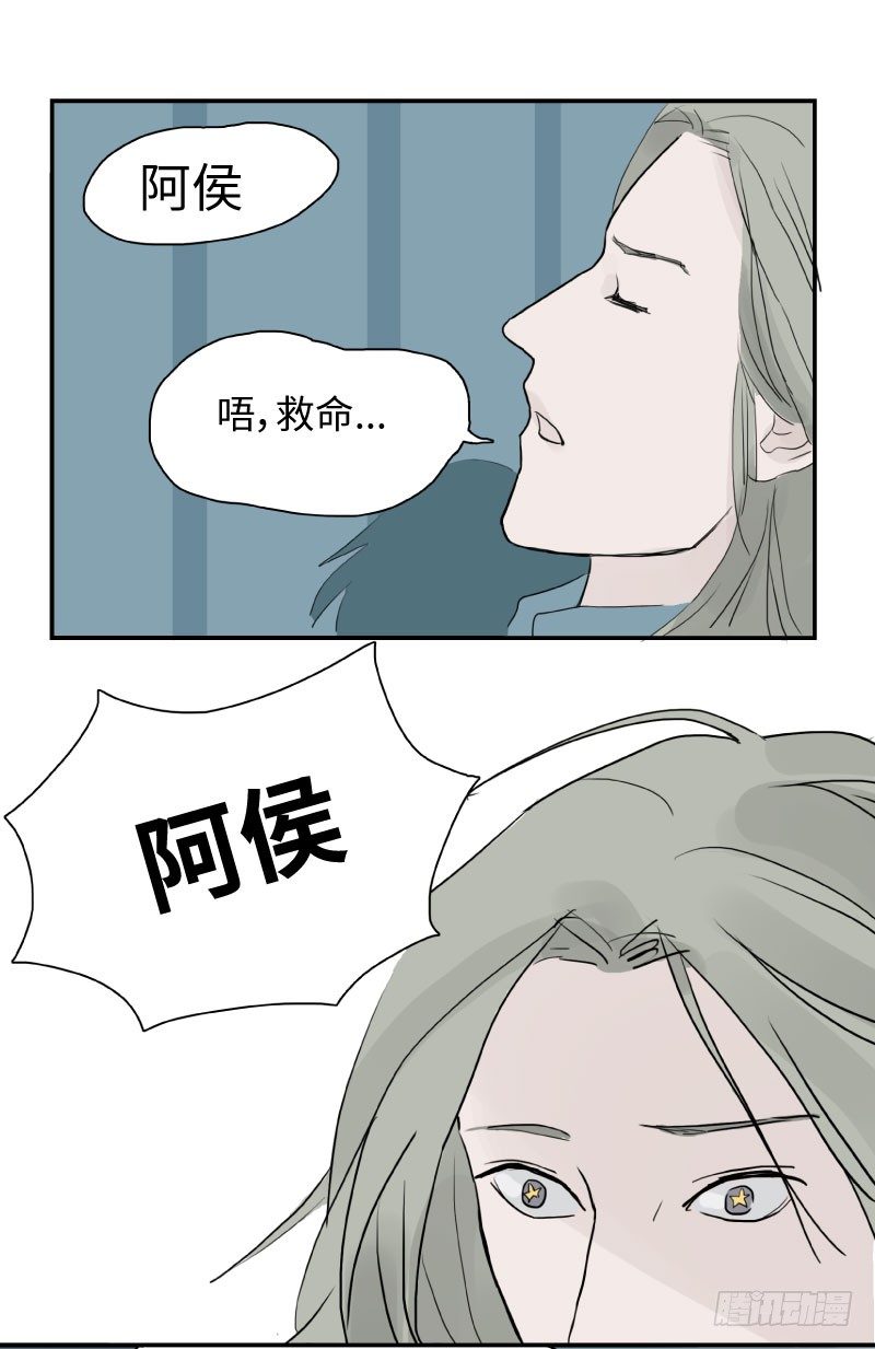 留宿动物园（下）5