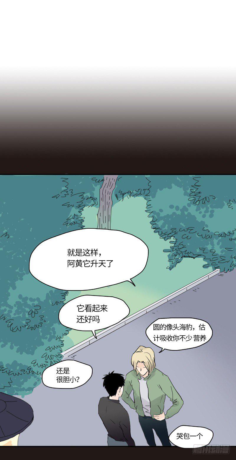 明日可期（上）9