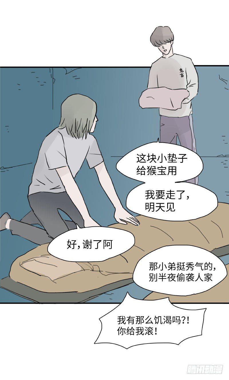 留宿动物园（下）7