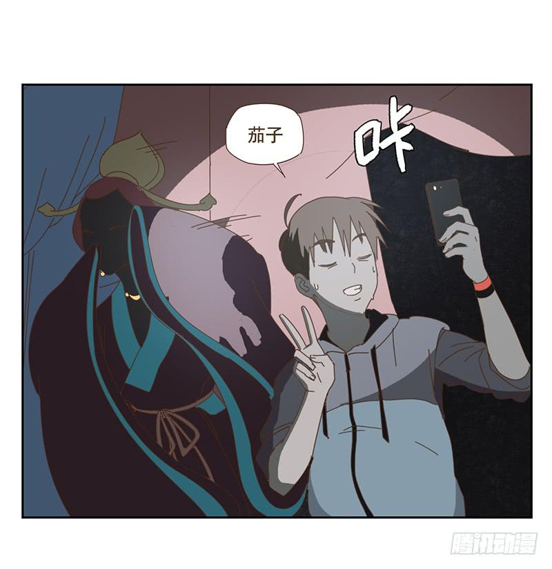 夜启夫人的收藏6