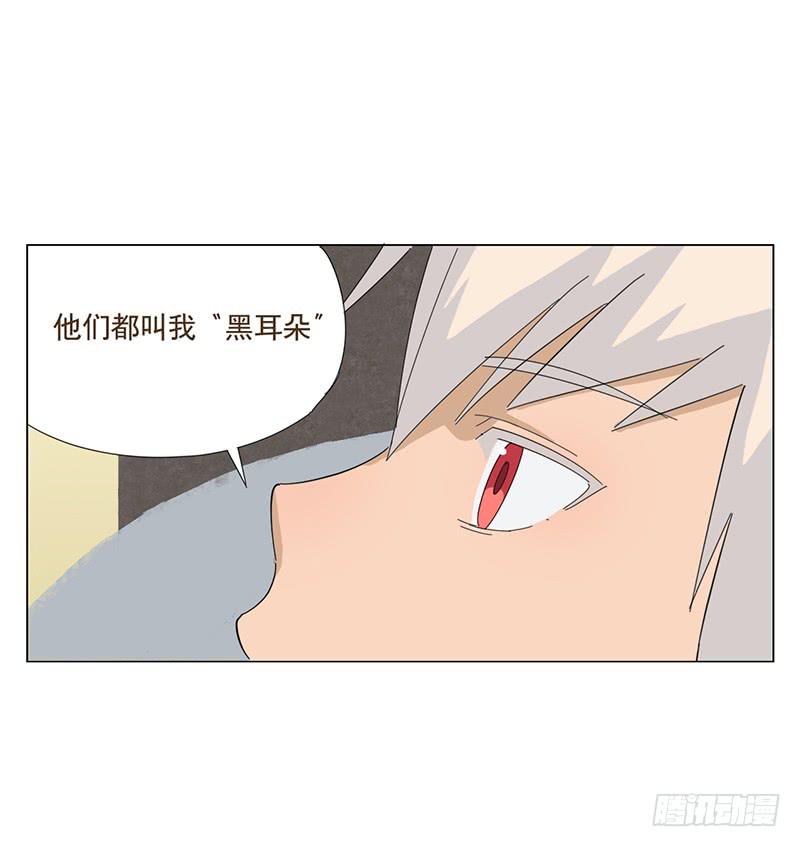 与兔共枕9
