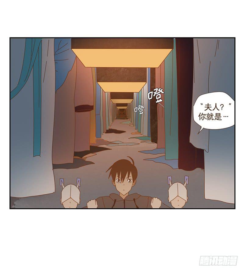 夜启夫人的收藏33
