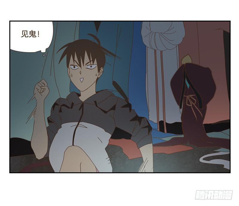 夜启夫人的收藏7