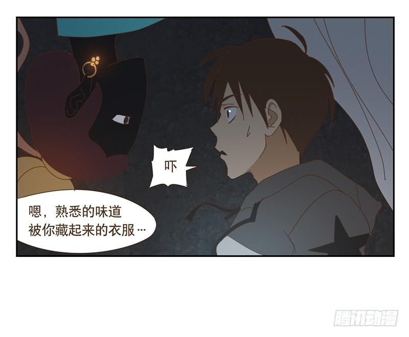 夜启夫人的收藏12