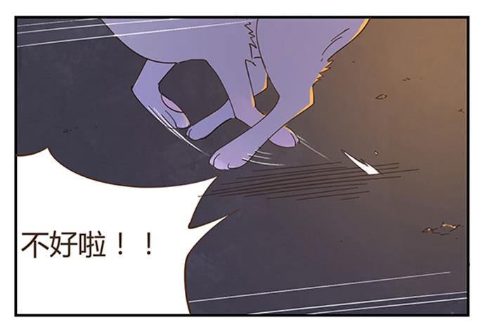 下凡11