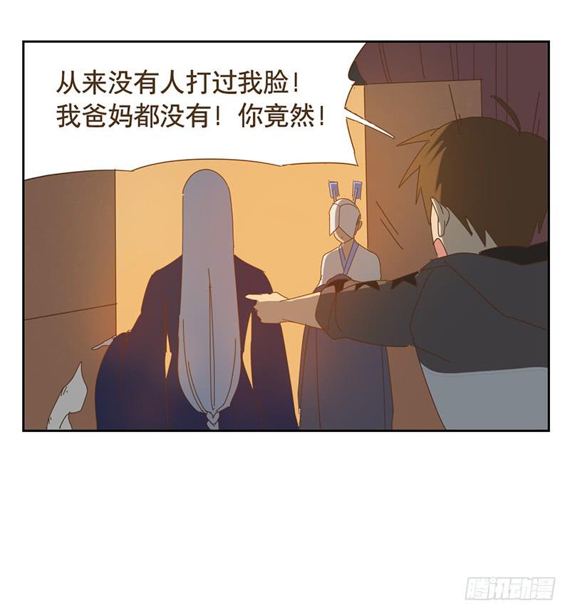 夜启夫人的收藏26
