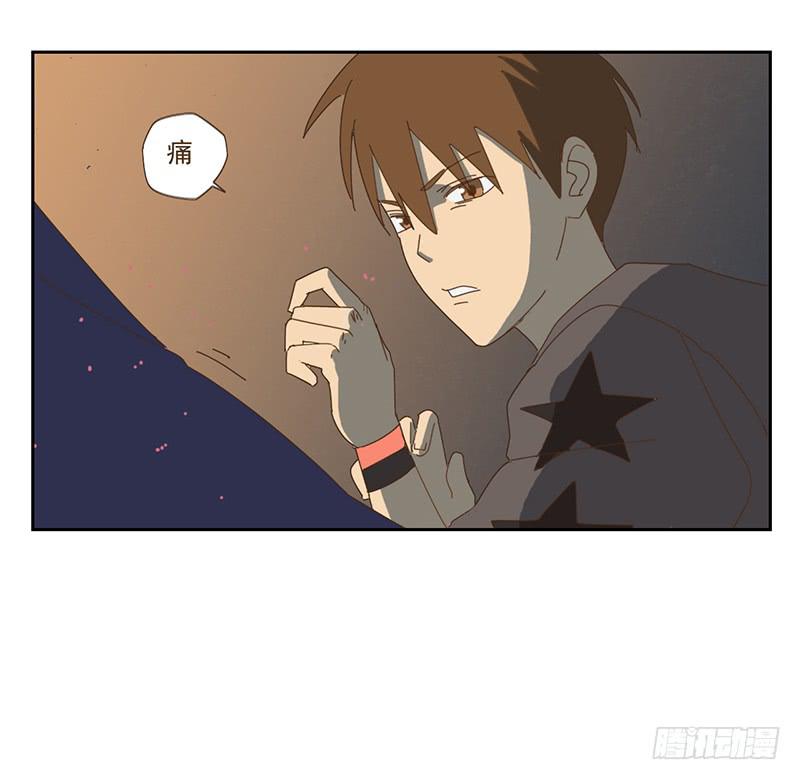 夜启夫人的收藏22