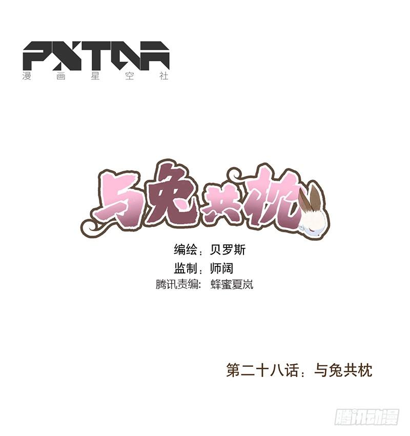 与兔共枕0