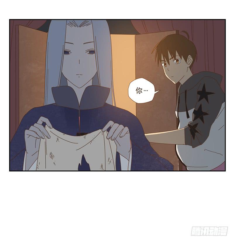 夜启夫人的收藏23