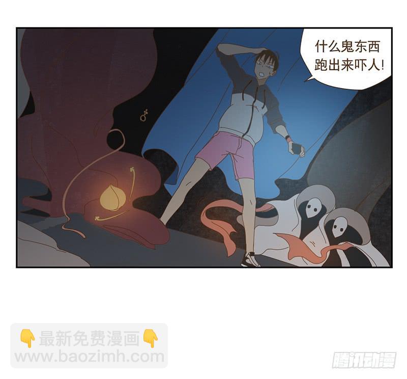 夜启夫人的收藏14