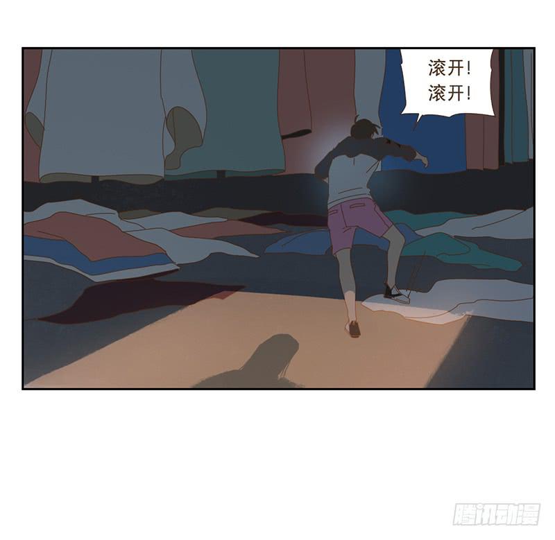 夜启夫人的收藏18