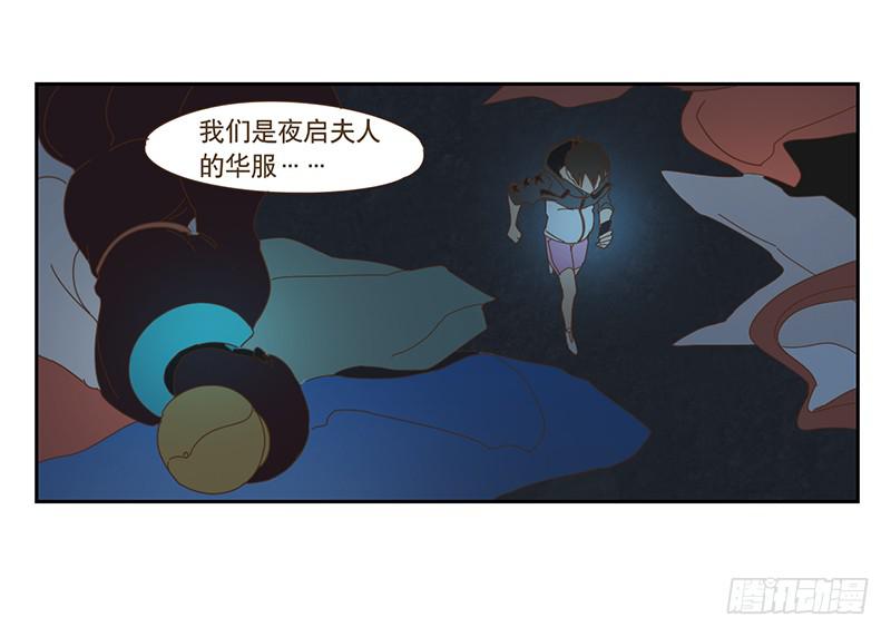 夜启夫人的收藏10