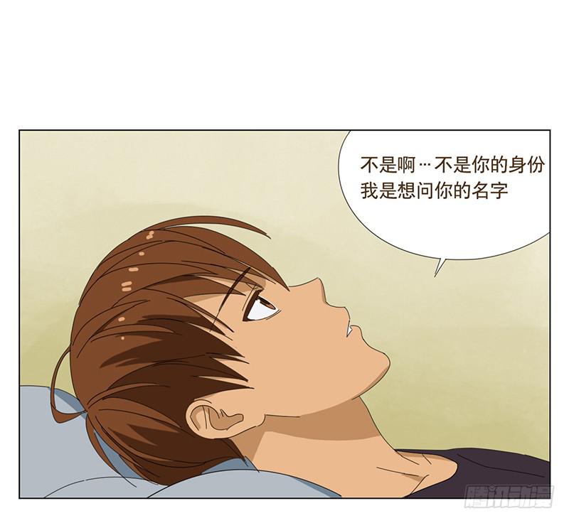 与兔共枕7