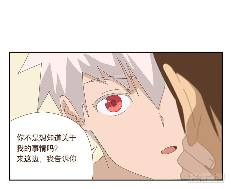 秘密8