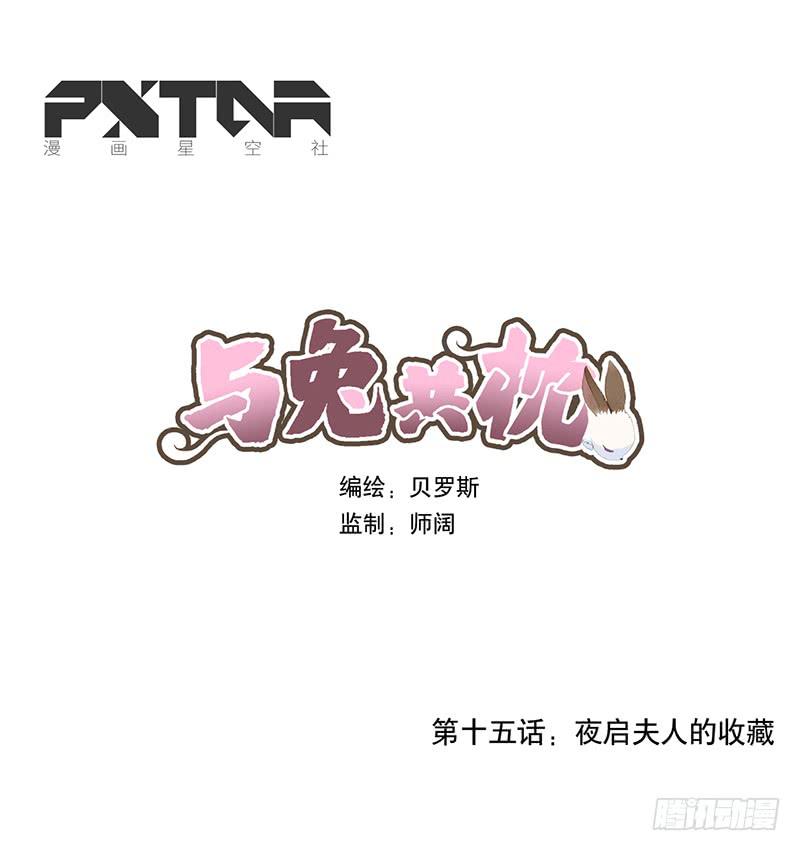 夜启夫人的收藏0