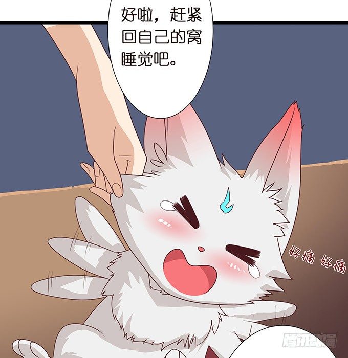 奇怪的梦境19