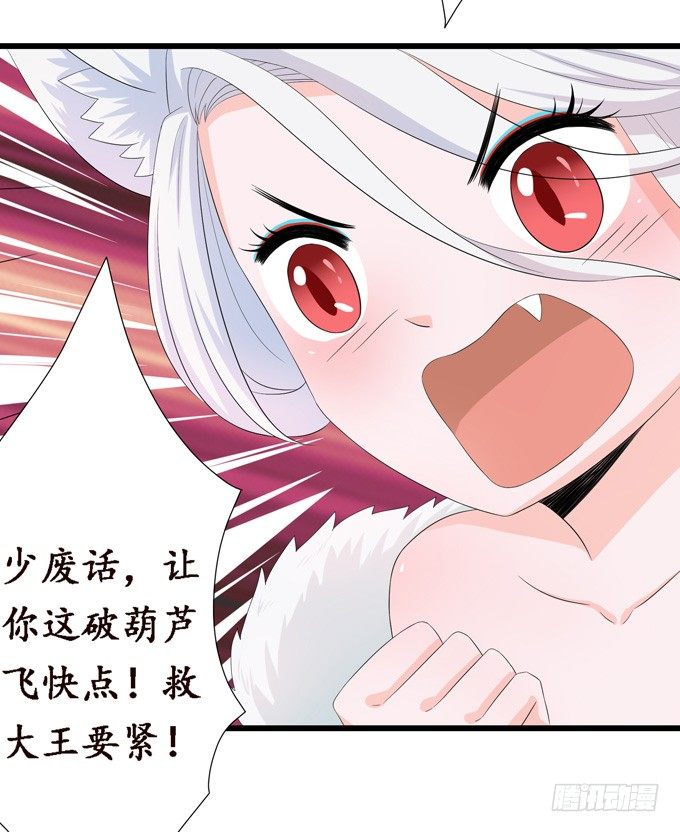 大王的安危68