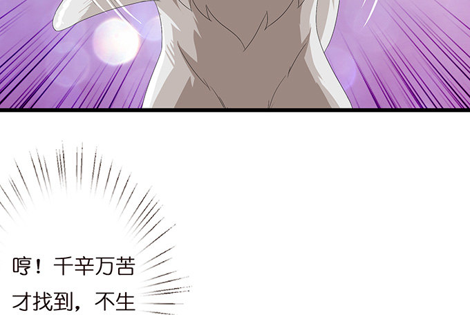 今生的重逢7