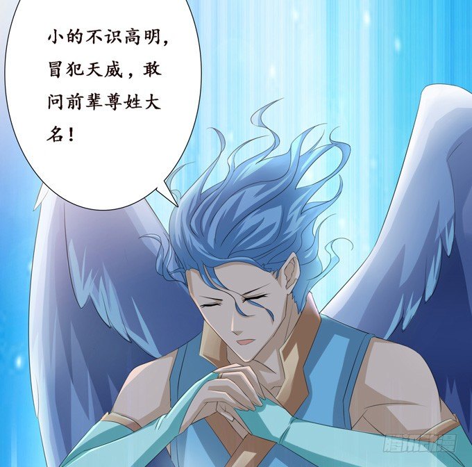 实力的见证73