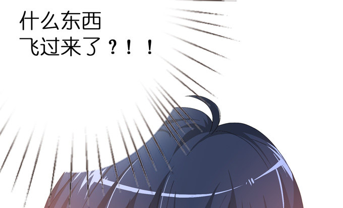 千年的约定229