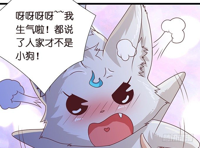 奇怪的梦境17
